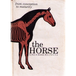 The Horse: From Conception To Maturity